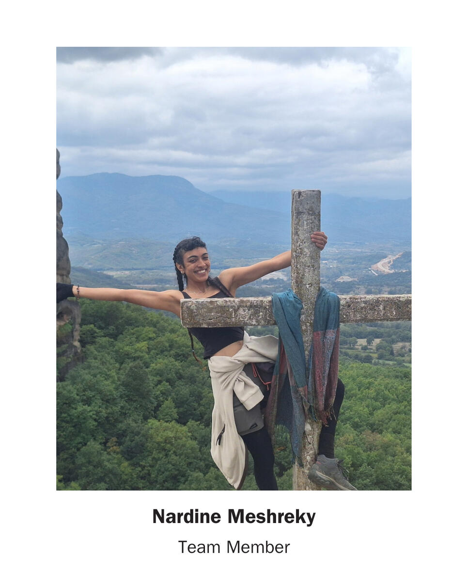 Nardine Meshreky